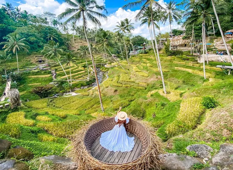 bali-8